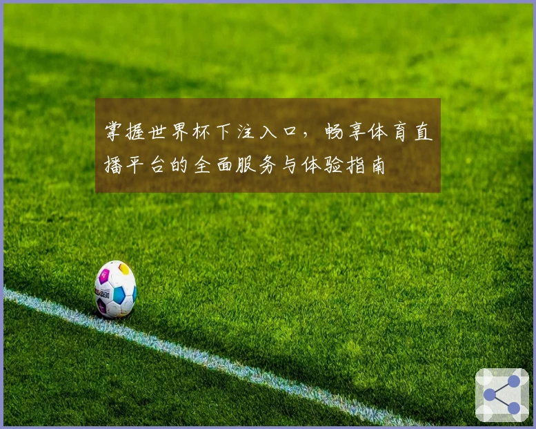 掌握世界杯下注入口，畅享体育直播平台的全面服务与体验指南