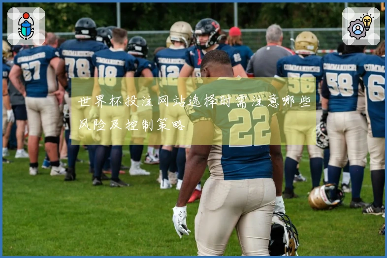 世界杯投注网站选择时需注意哪些风险及控制策略
