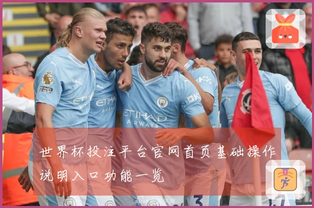 世界杯投注平台官网首页基础操作说明入口功能一览