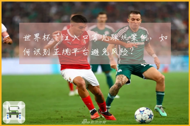 世界杯下注入口常见踩坑案例,如何识别正规平台避免风险?