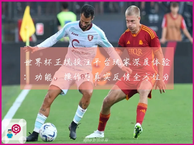 世界杯正规投注平台玩家深度体验：功能、操作与真实反馈全方位分享