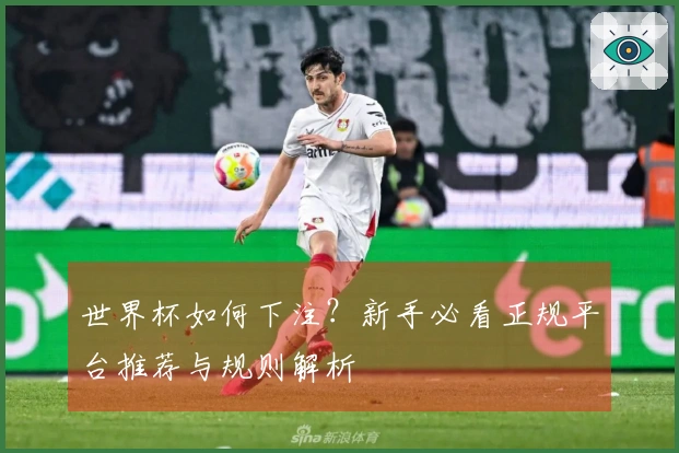 世界杯如何下注?新手必看正规平台推荐与规则解析